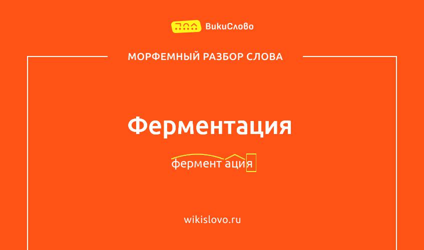 Морфемный разбор слова ферментация