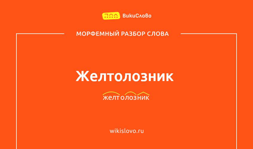 Морфемный разбор слова желтолозник