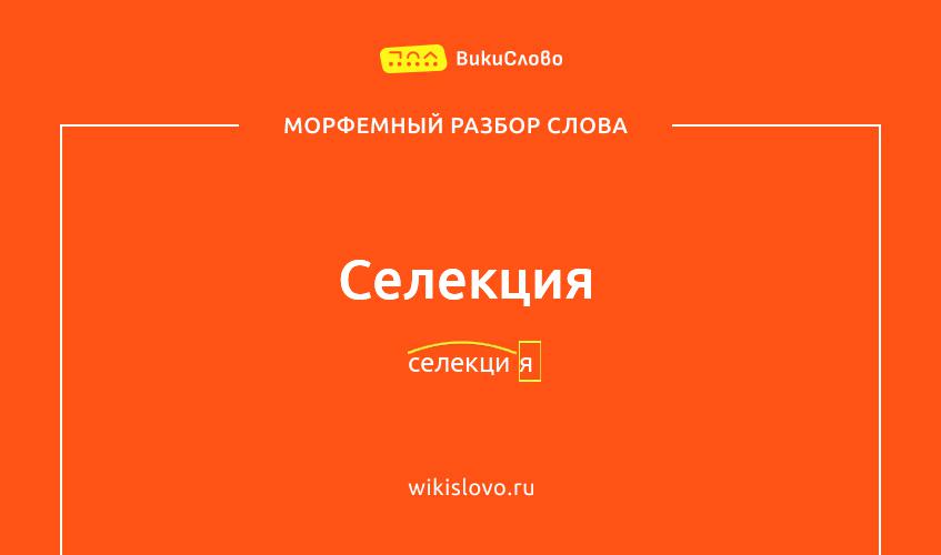 Морфемный разбор слова селекция