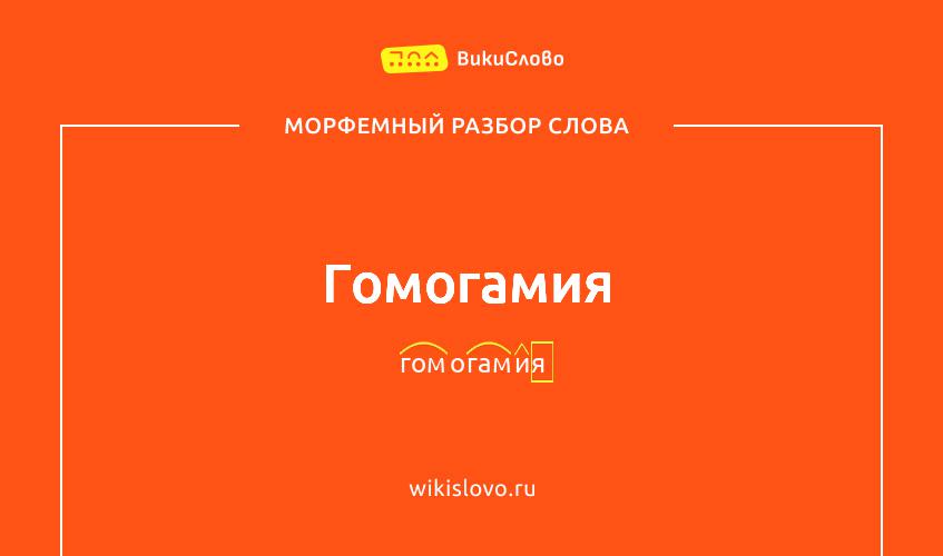 Морфемный разбор слова гомогамия