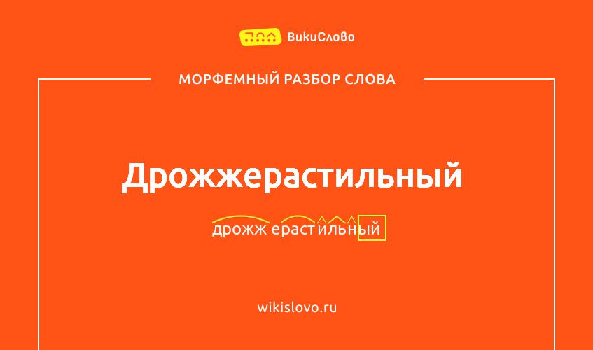 Морфемный разбор слова дрожжерастильный