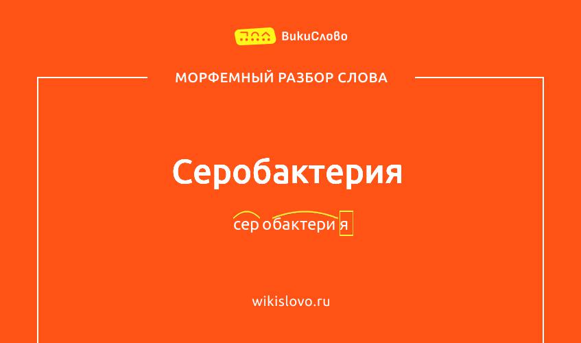 Морфемный разбор слова серобактерия