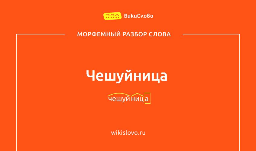 Морфемный разбор слова чешуйница