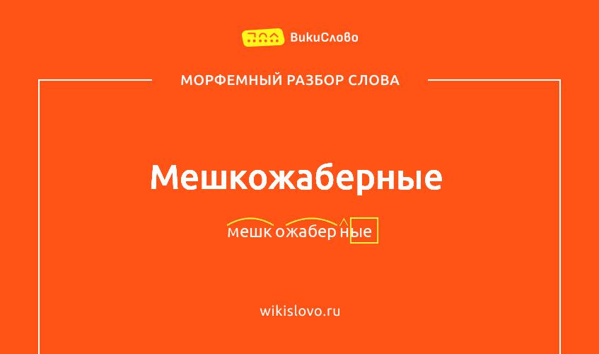 Морфемный разбор слова мешкожаберные