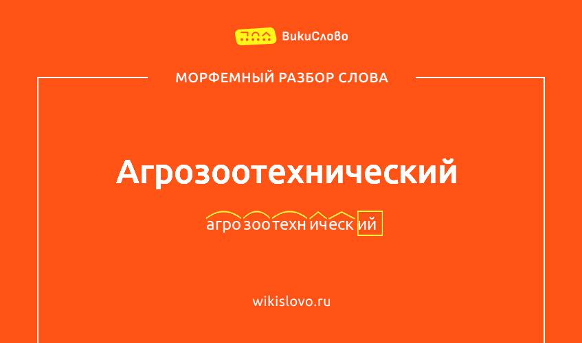 Морфемный разбор слова агрозоотехнический