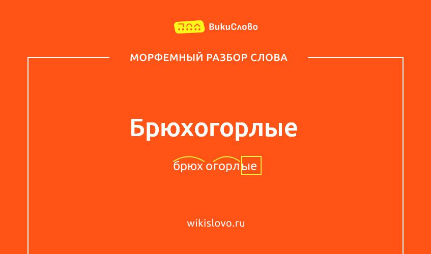 Морфемный разбор слова брюхогорлые