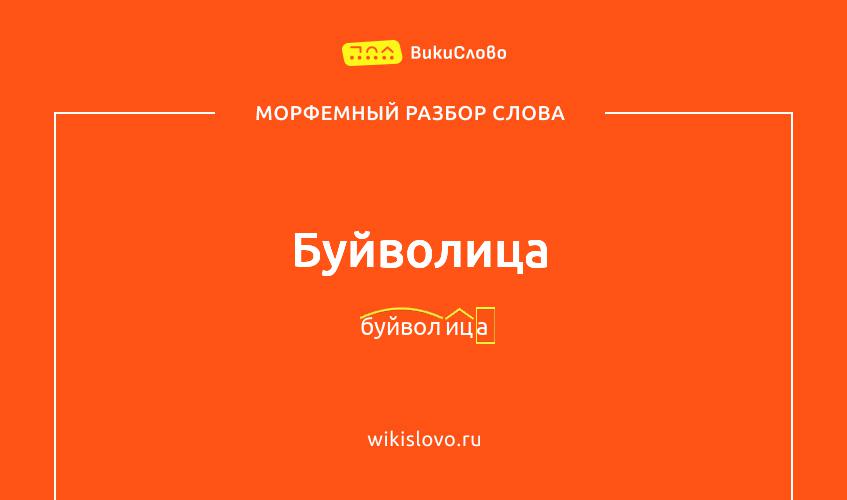 Морфемный разбор слова буйволица