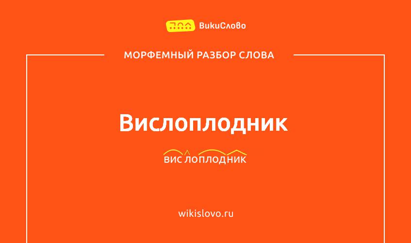 Морфемный разбор слова вислоплодник