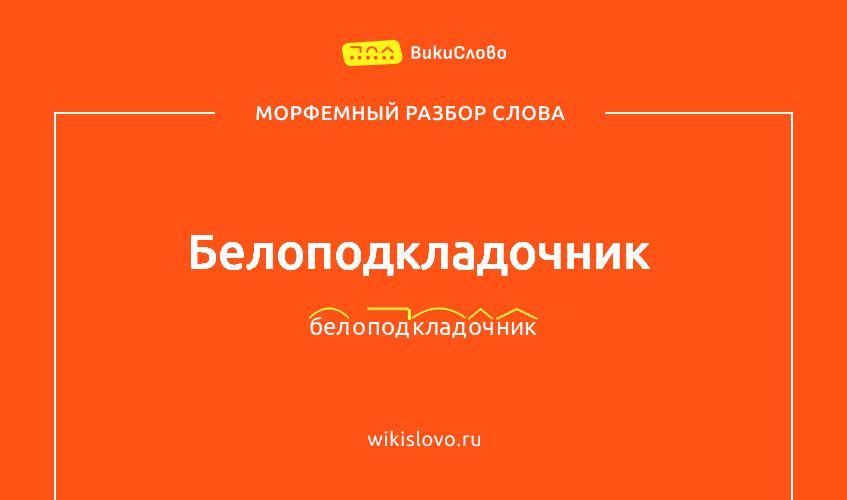 Морфемный разбор слова белоподкладочник