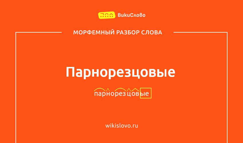 Морфемный разбор слова парнорезцовые