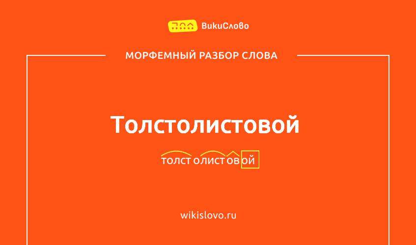 Морфемный разбор слова толстолистовой