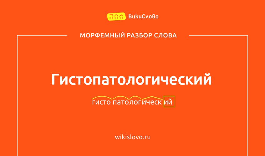 Морфемный разбор слова гистопатологический