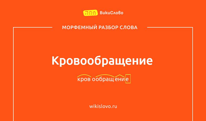 Морфемный разбор слова кровообращение