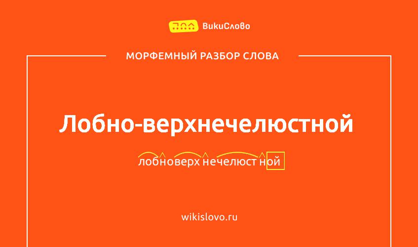 Морфемный разбор слова лобно-верхнечелюстной