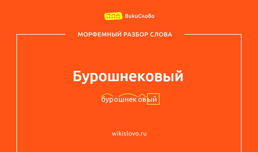 Морфемный разбор слова бурошнековый