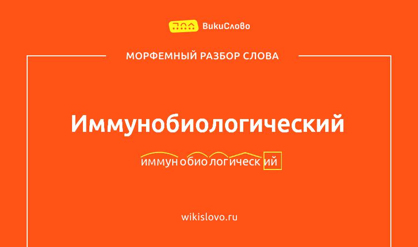 Морфемный разбор слова иммунобиологический