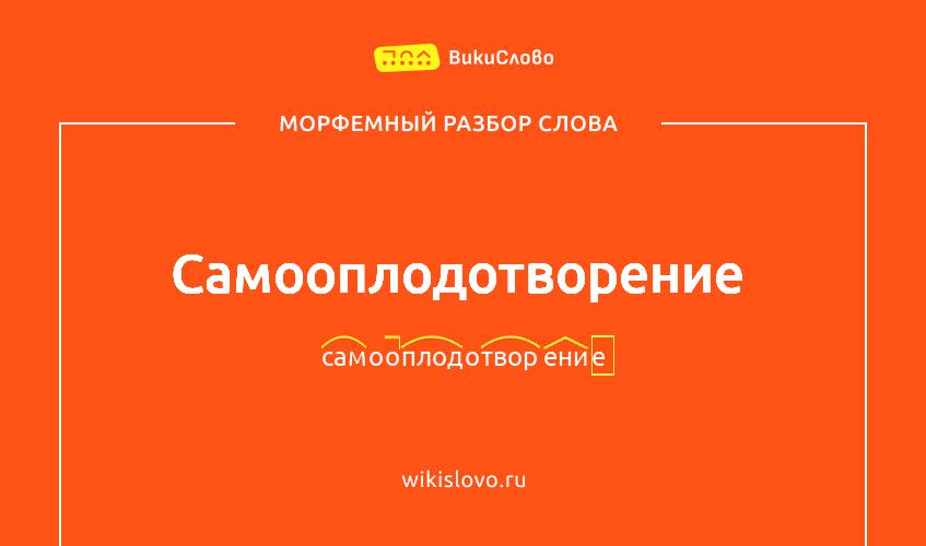 Морфемный разбор слова самооплодотворение