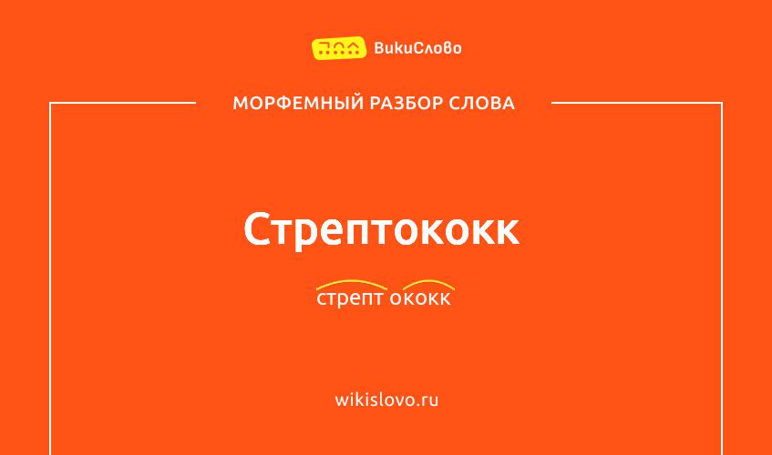 Морфемный разбор слова стрептококк