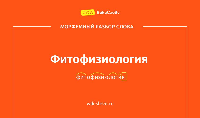 Морфемный разбор слова фитофизиология