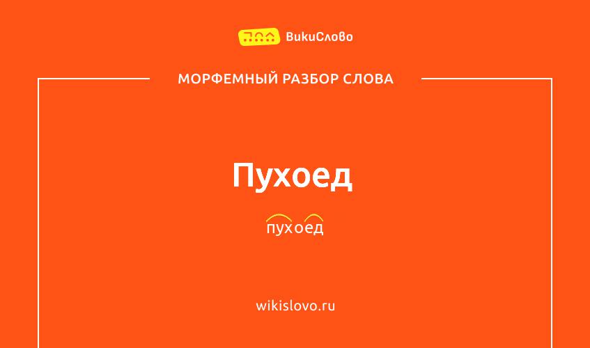 Морфемный разбор слова пухоед