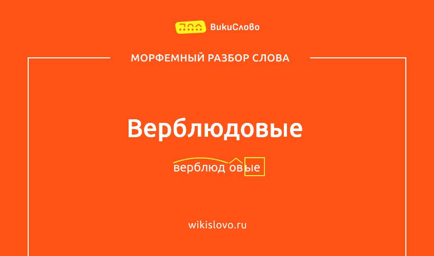 Морфемный разбор слова верблюдовые