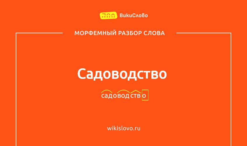 Морфемный разбор слова садоводство