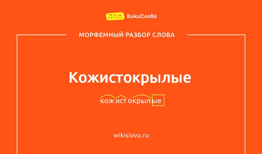 Морфемный разбор слова кожистокрылые