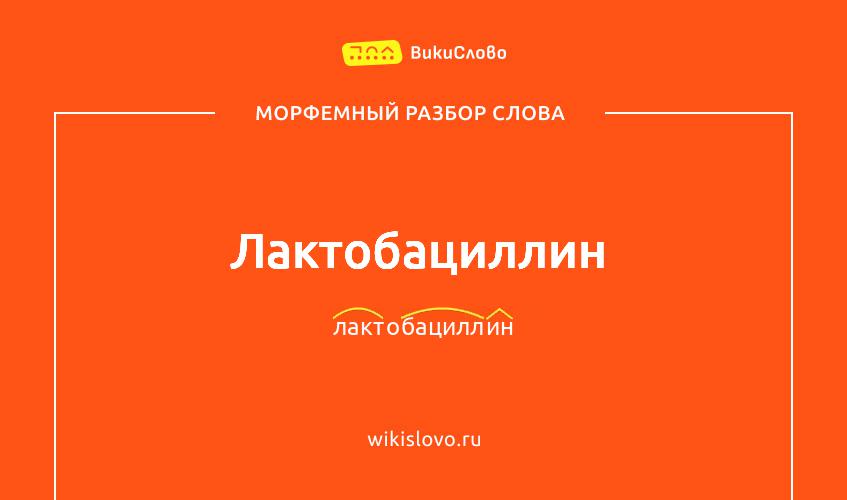 Морфемный разбор слова лактобациллин