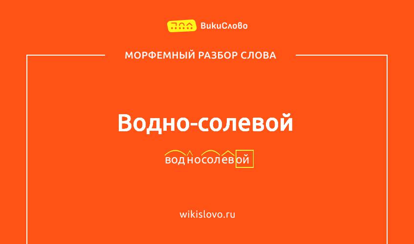 Морфемный разбор слова водно-солевой