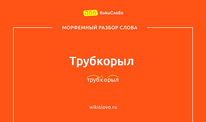 Морфемный разбор слова трубкорыл