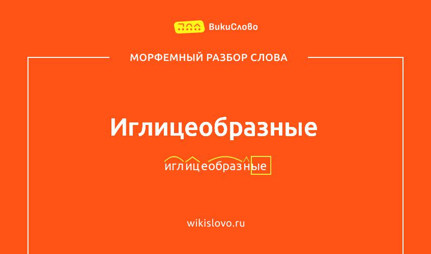 Морфемный разбор слова иглицеобразные