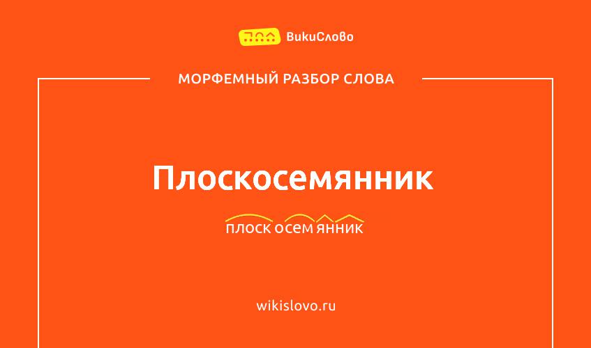 Морфемный разбор слова плоскосемянник