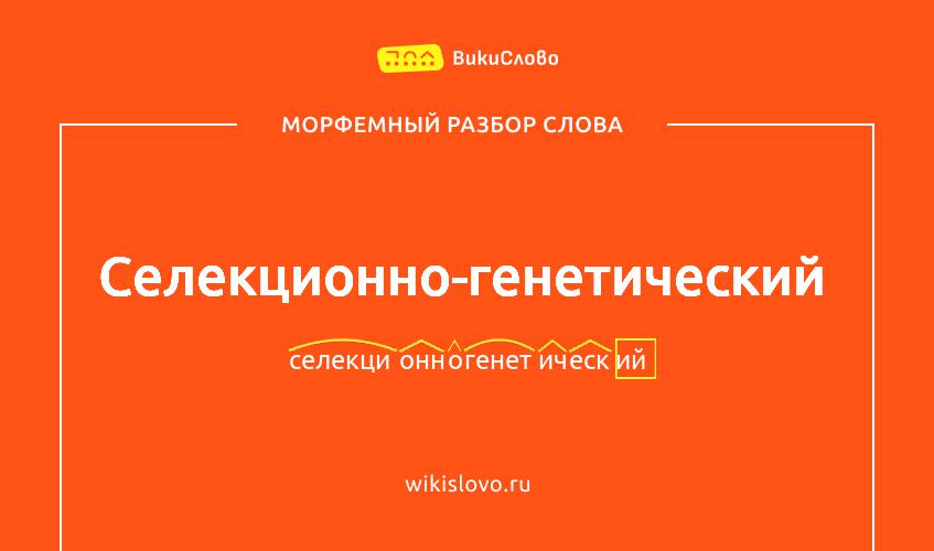 Морфемный разбор слова селекционно-генетический