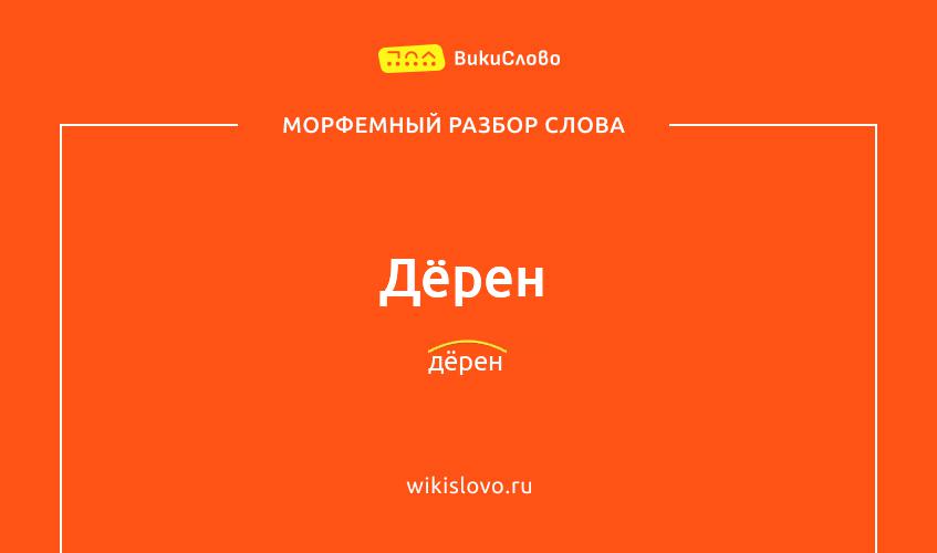 Морфемный разбор слова дёрен