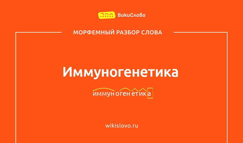 Морфемный разбор слова иммуногенетика