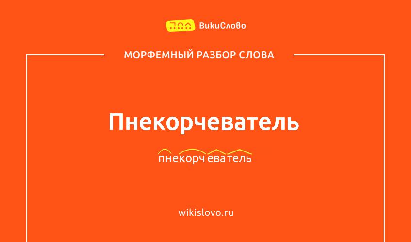 Морфемный разбор слова пнекорчеватель