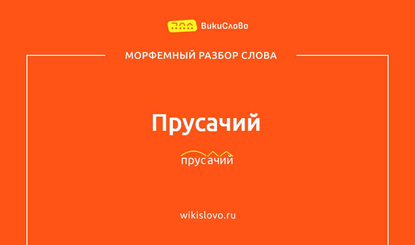 Морфемный разбор слова прусачий