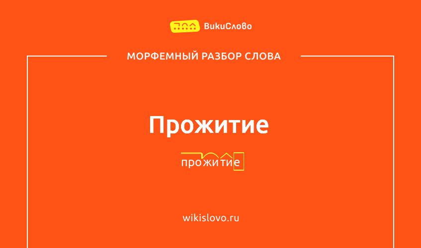 Морфемный разбор слова прожитие