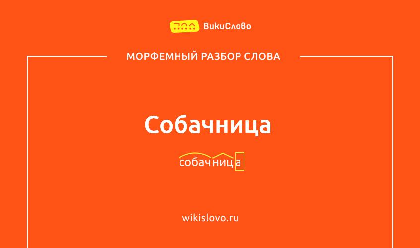 Морфемный разбор слова собачница