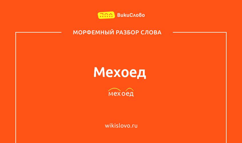 Морфемный разбор слова мехоед