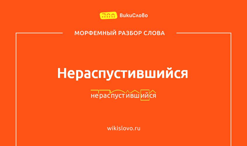 Морфемный разбор слова нераспустившийся