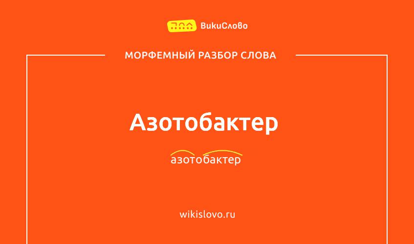 Морфемный разбор слова азотобактер