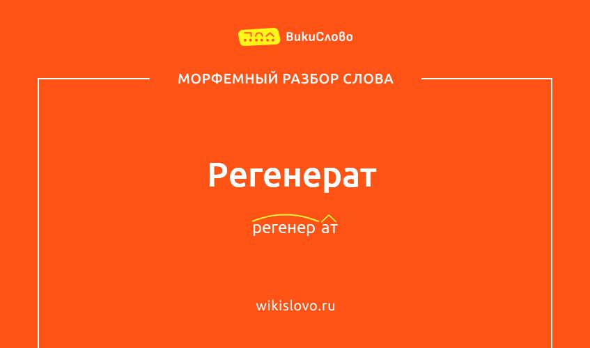 Морфемный разбор слова регенерат