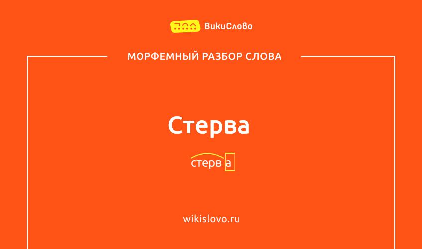 Морфемный разбор слова стерва