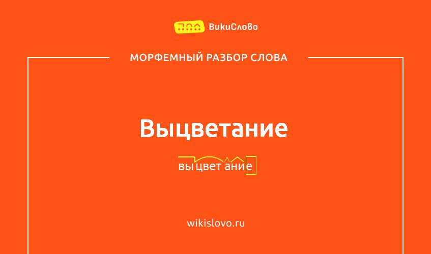 Морфемный разбор слова выцветание