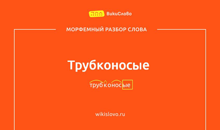 Морфемный разбор слова трубконосые