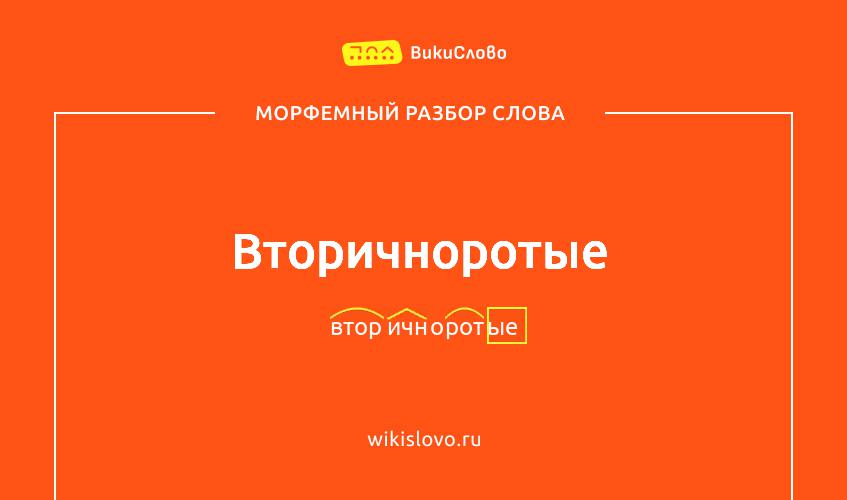 Морфемный разбор слова вторичноротые