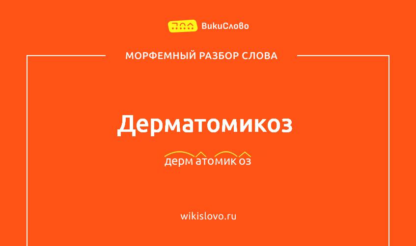 Морфемный разбор слова дерматомикоз