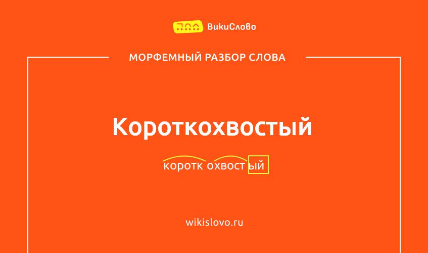 Морфемный разбор слова короткохвостый