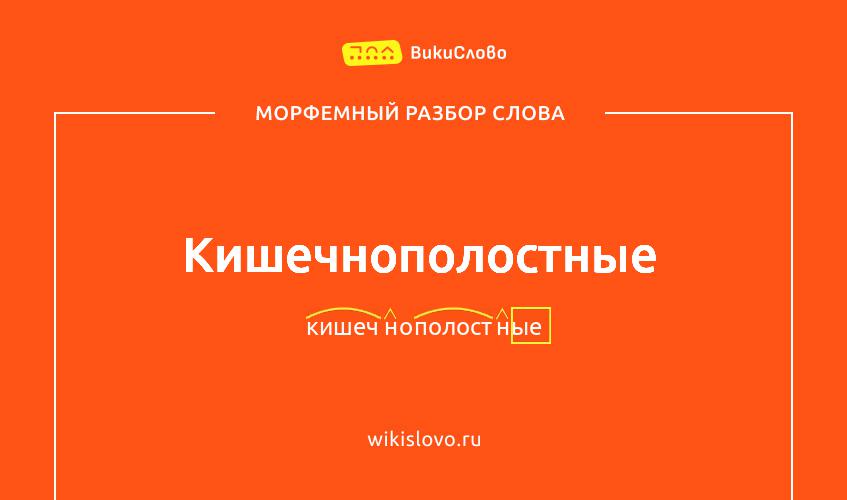 Морфемный разбор слова кишечнополостные